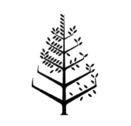 硅谷东帕洛阿尔托四季酒店 Logo